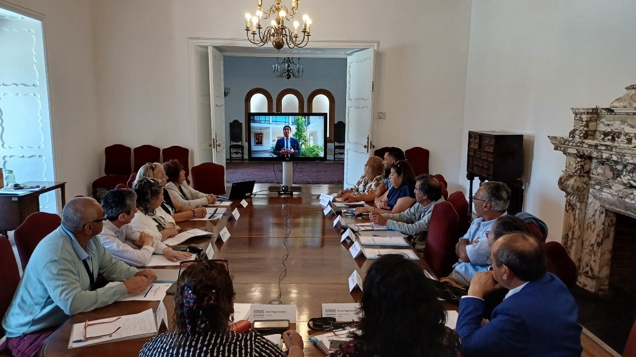 Segundo Plenario COSOC 2025